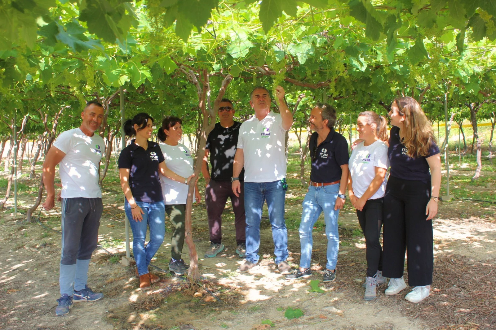 Equipo ITUM en la viña