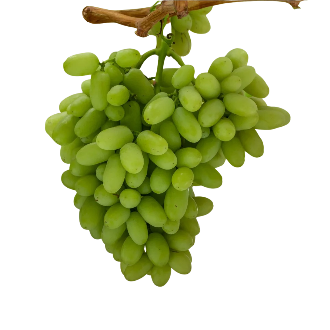 Racimo de uva Boomgrape