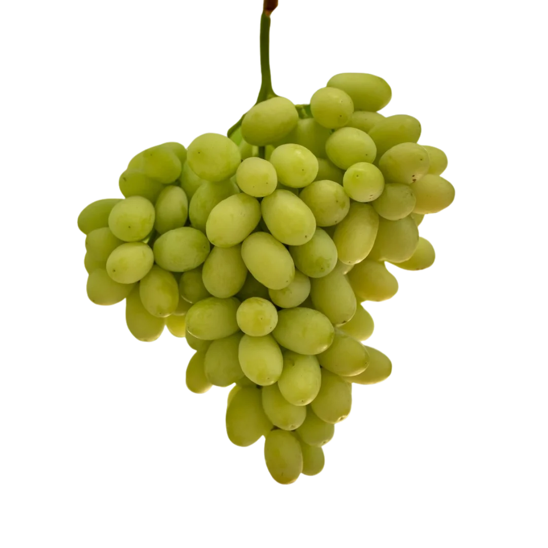 Racimo de uva Coolgrape