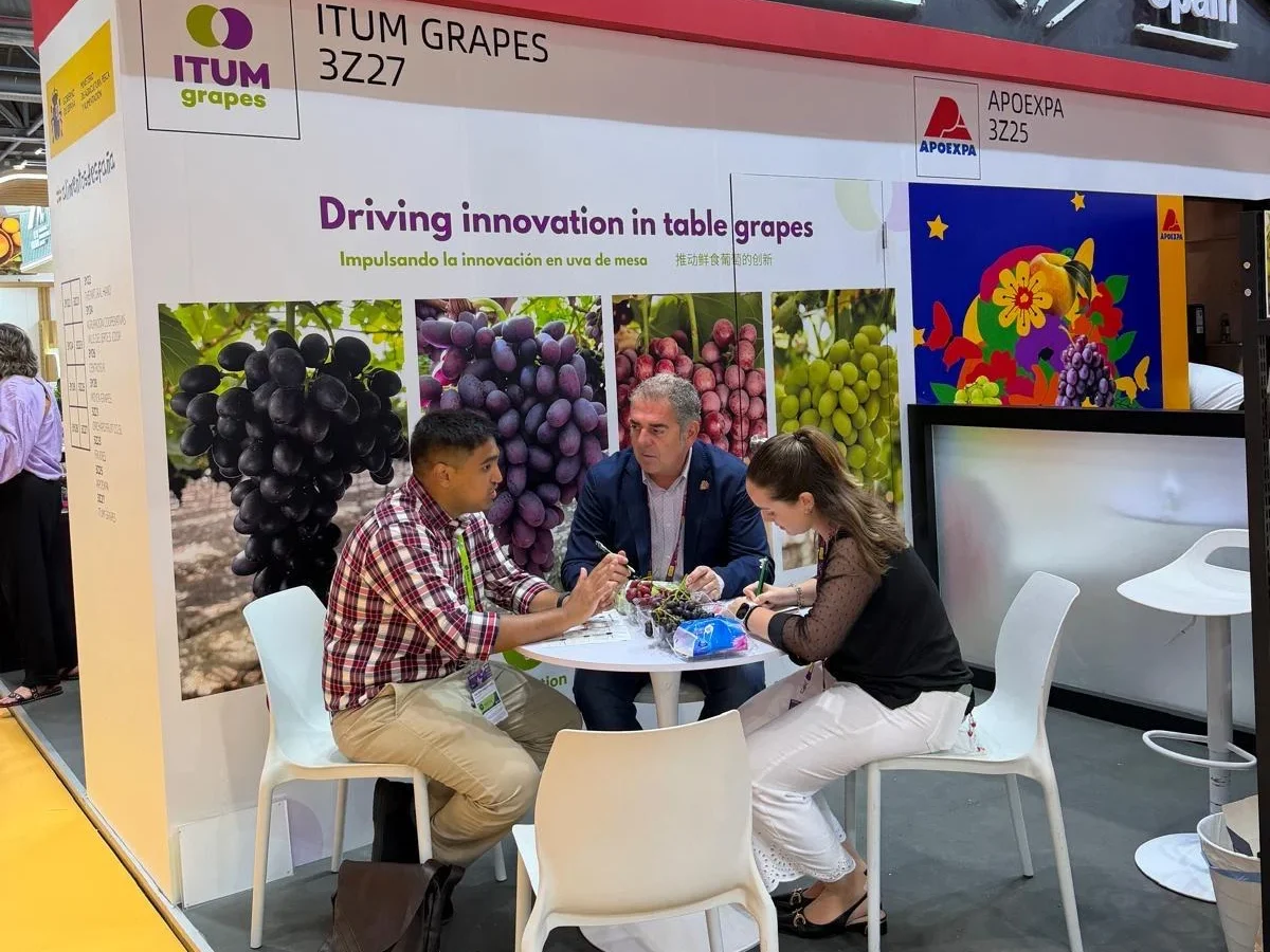 ITUM en reunión en ASIA FRUIT LOGISTICA 2026